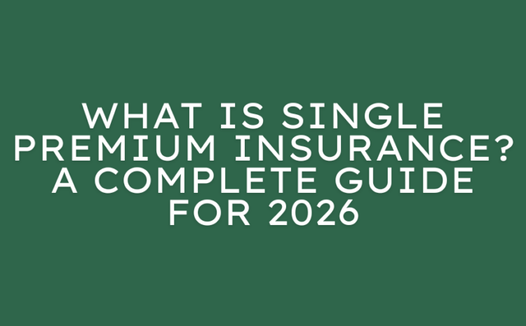  What Is Single Premium Insurance? A Complete Guide for 2026